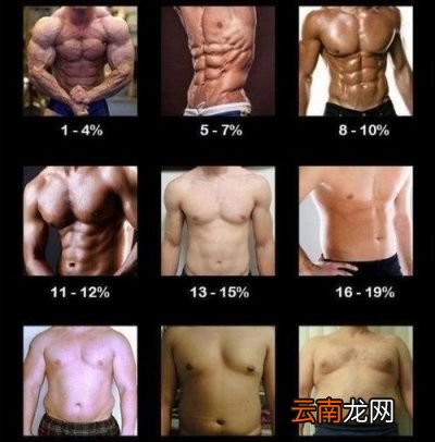 如何把体脂率控制在合理水平
