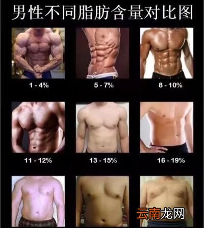 最健康的体脂率是多少