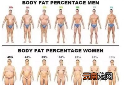 准确的体脂率的测量方法