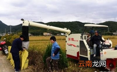 立秋的月份真的会决定庄稼是丰收还是歉收吗