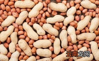 西红柿和什么不能一起吃