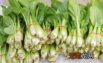 西红柿和什么不能一起吃