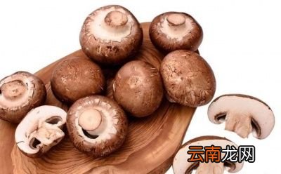 西红柿和什么不能一起吃