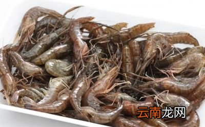 西红柿和什么不能一起吃