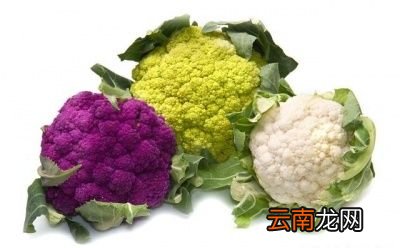 西红柿和什么不能一起吃