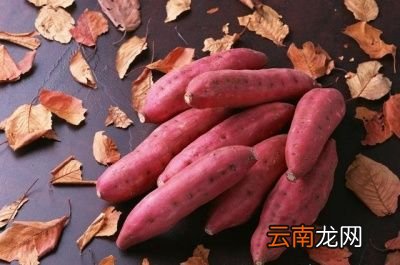 西红柿和什么不能一起吃