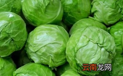 西红柿和什么不能一起吃