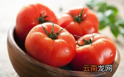 西红柿和什么不能一起吃