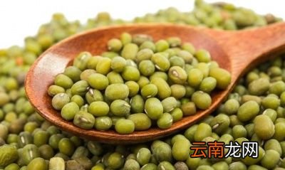 西红柿和什么不能一起吃
