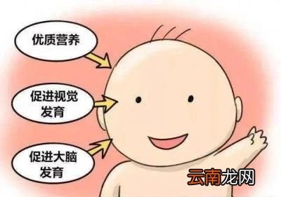 哺乳期应该怎么吃