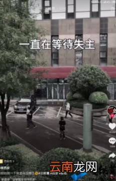 抖音教学收费哪种靠谱吗 抖音直播零基础入门