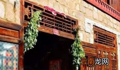 艾草的采摘时间什么时候最合适