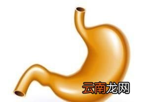 再看枸杞菊茶的功效