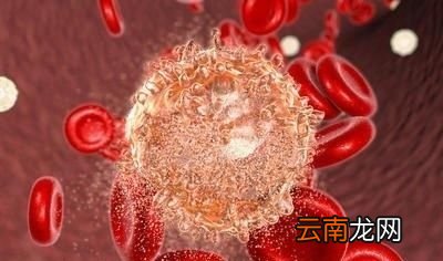为什么人的大便是黄色的呢