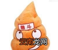 为什么人的大便是黄色的呢