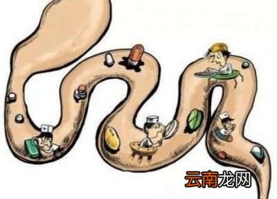 大便为什么是黄色