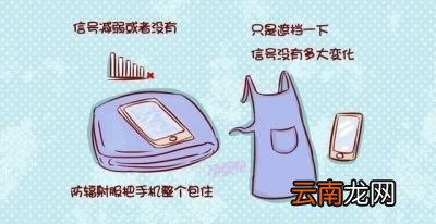 手机辐射会影响胎儿吗