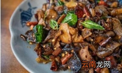致癌菜指的是什么