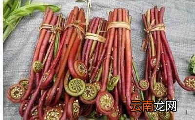 致癌菜指的是什么