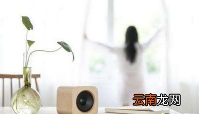 方法二分解甲醛才是真除醛