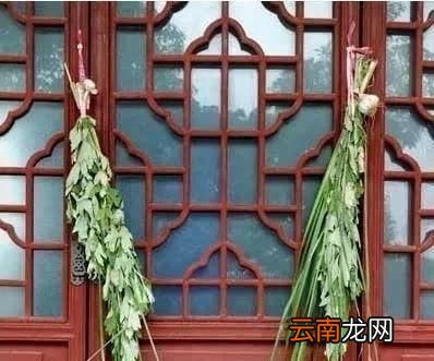 收割艾叶最佳时间为前三后具体是指什么时候呢