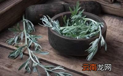 为何有艾草采割要遵循前三后四的说法呢