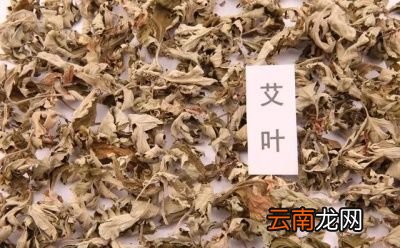 为何有艾草采割要遵循前三后四的说法呢