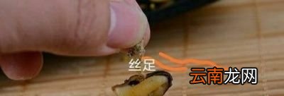 海虹加调料会不会更好吃