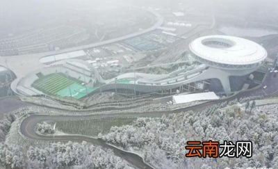 为什么2021年的冬天来的这么早