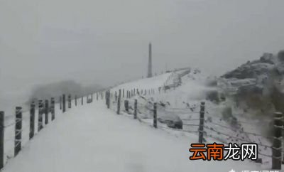 为什么2021年的冬天来的这么早