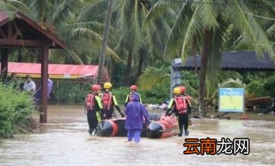 为什么2021年的冬天来的这么早