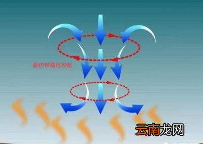 为什么2021年的冬天来的这么早