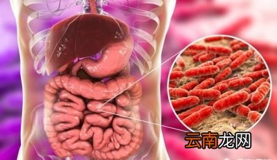 何时治疗幽门螺杆菌感染