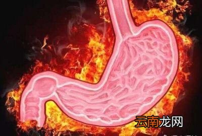 你可以做2件事来降低感染幽门螺杆菌的几率
