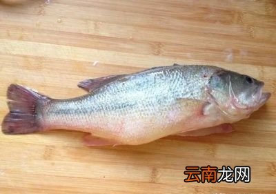 清蒸鲈鱼去腥味的方法