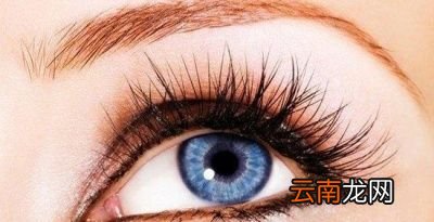 市面上所有的睫毛生长液都好使吗
