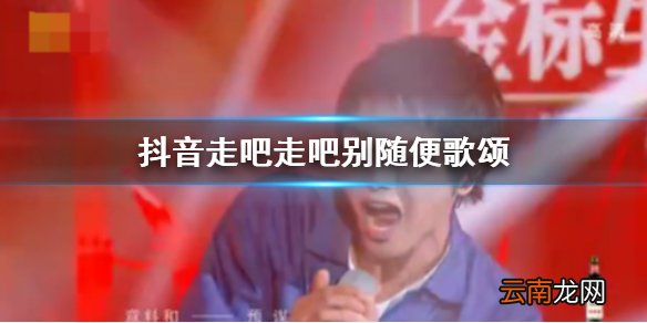 抖音我收拾好骄傲原谅脆弱的玩笑是什么歌 走吧走吧别随便歌颂