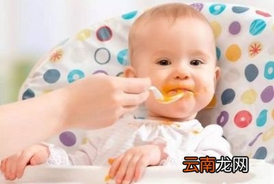 六个月的宝宝可以吃什么食物