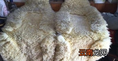 问题为何现在的人都不要羊皮了白送都没有人要