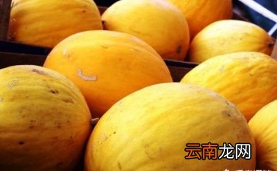 为什么甜瓜的瓜蒂是苦味的呢