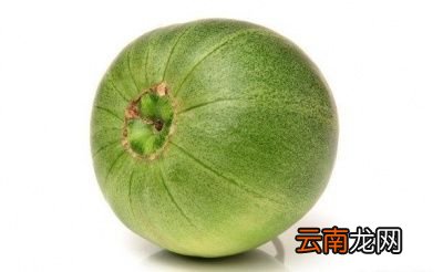 为什么甜瓜的瓜蒂是苦味的呢