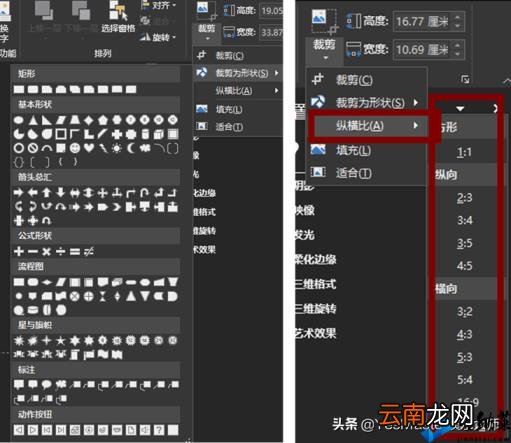 ppt图片怎么布局美观 如何调整ppt比例
