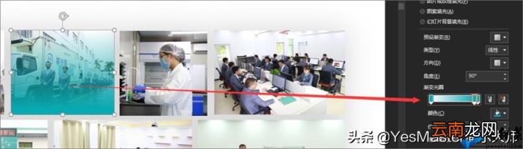 ppt图片怎么布局美观 如何调整ppt比例