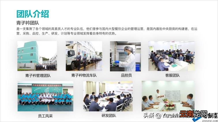 ppt图片怎么布局美观 如何调整ppt比例