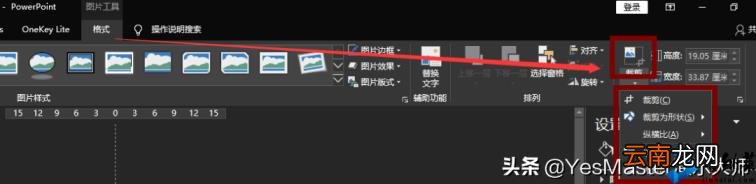 ppt图片怎么布局美观 如何调整ppt比例