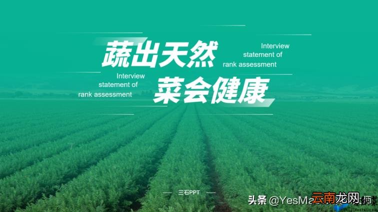 ppt图片怎么布局美观 如何调整ppt比例