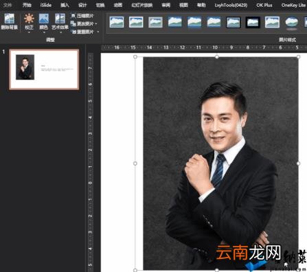 ppt图片怎么布局美观 如何调整ppt比例