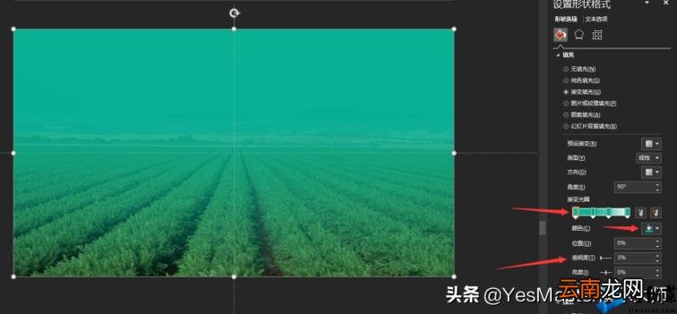 ppt图片怎么布局美观 如何调整ppt比例