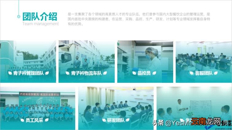 ppt图片怎么布局美观 如何调整ppt比例