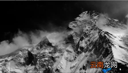 ppt图片怎么布局美观 如何调整ppt比例